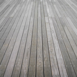 hardwood 1